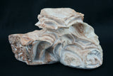 Rose Sage Bowl