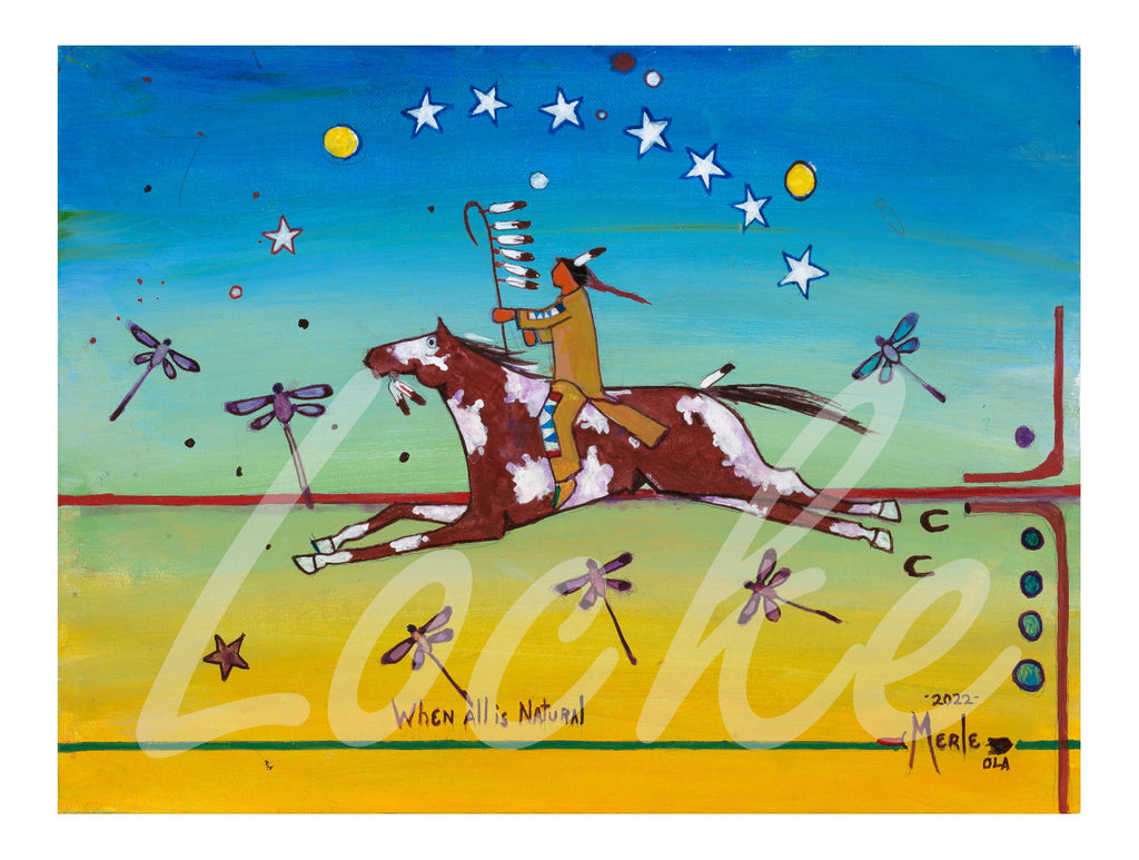 oglala lakota star dream
