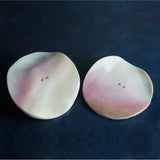 Conch Shell Hair Ties 4"