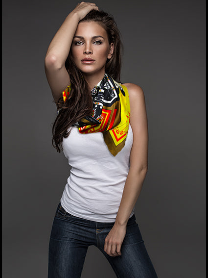 Four Directions Silk Scarf – Seven Fires Art