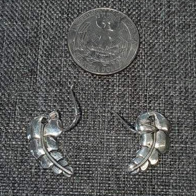Curved Feather Earrings