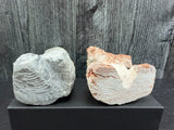 Pair of Rough Cut Bears