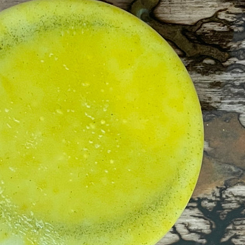 Conditioner Bar - Sap Moss