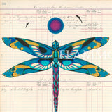 Dragonfly Ledger Art Evans Flammond 