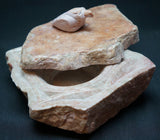 Keepsake Box with Bird Lid