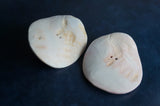 Conch Shell Hair Ties 4"