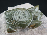 Medicine Wheel Turtle